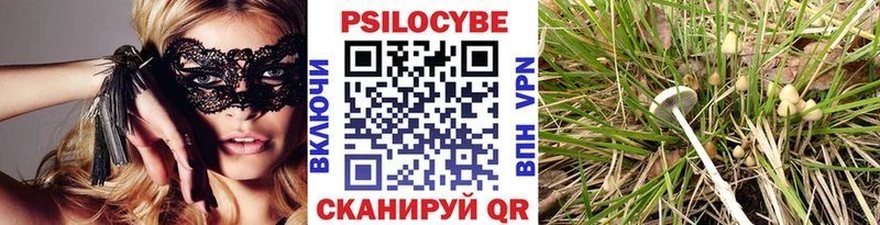 Псилоцибиновые грибы Psilocybine cubensis цены Медынь